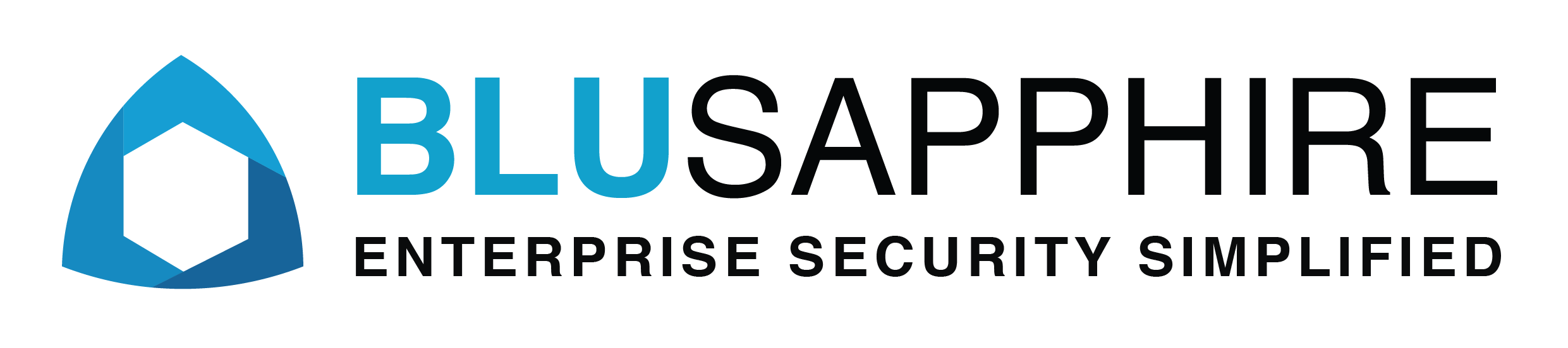 BluSapphire logo